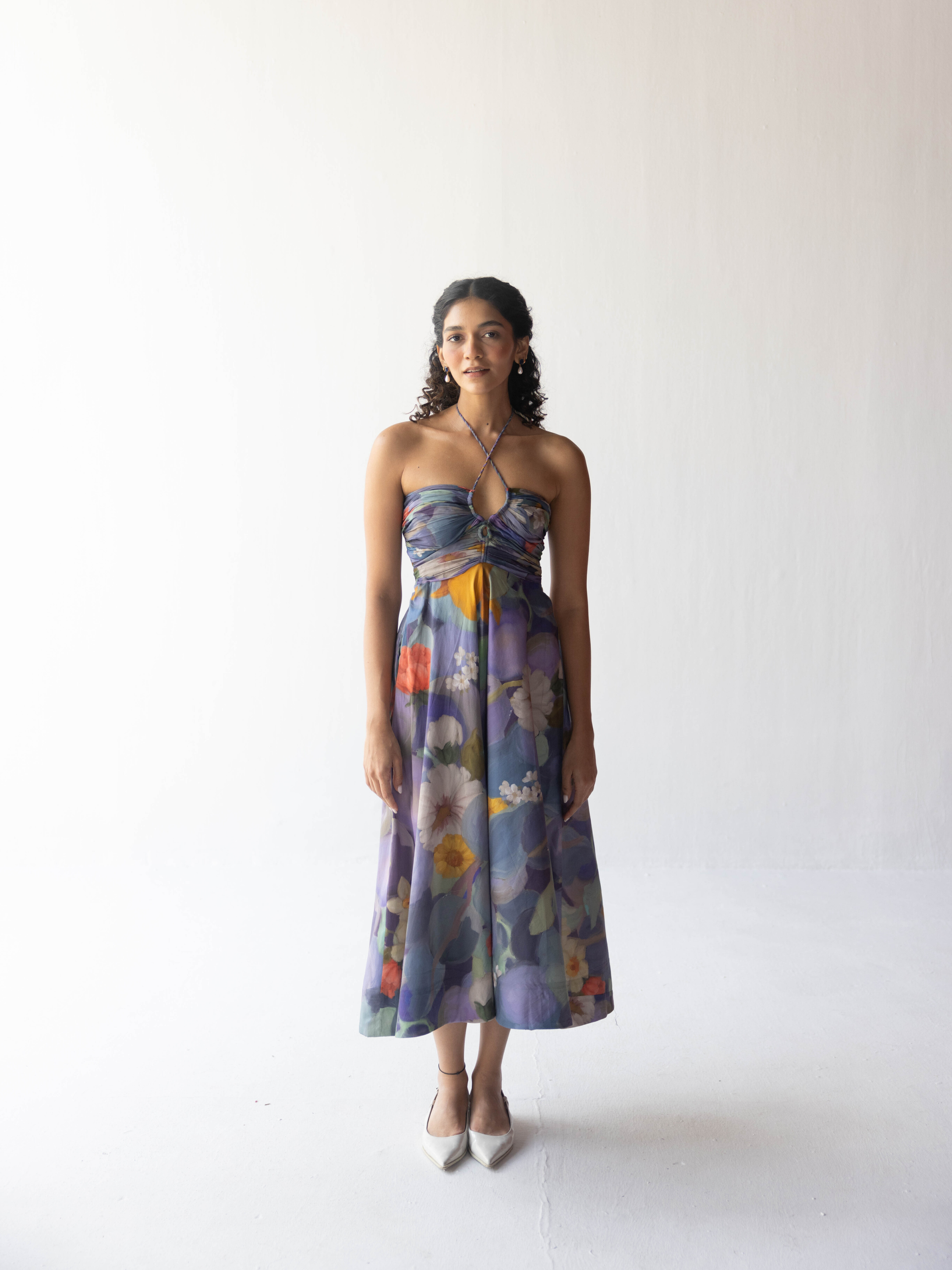 BLUEBERRY GROVE DRESS