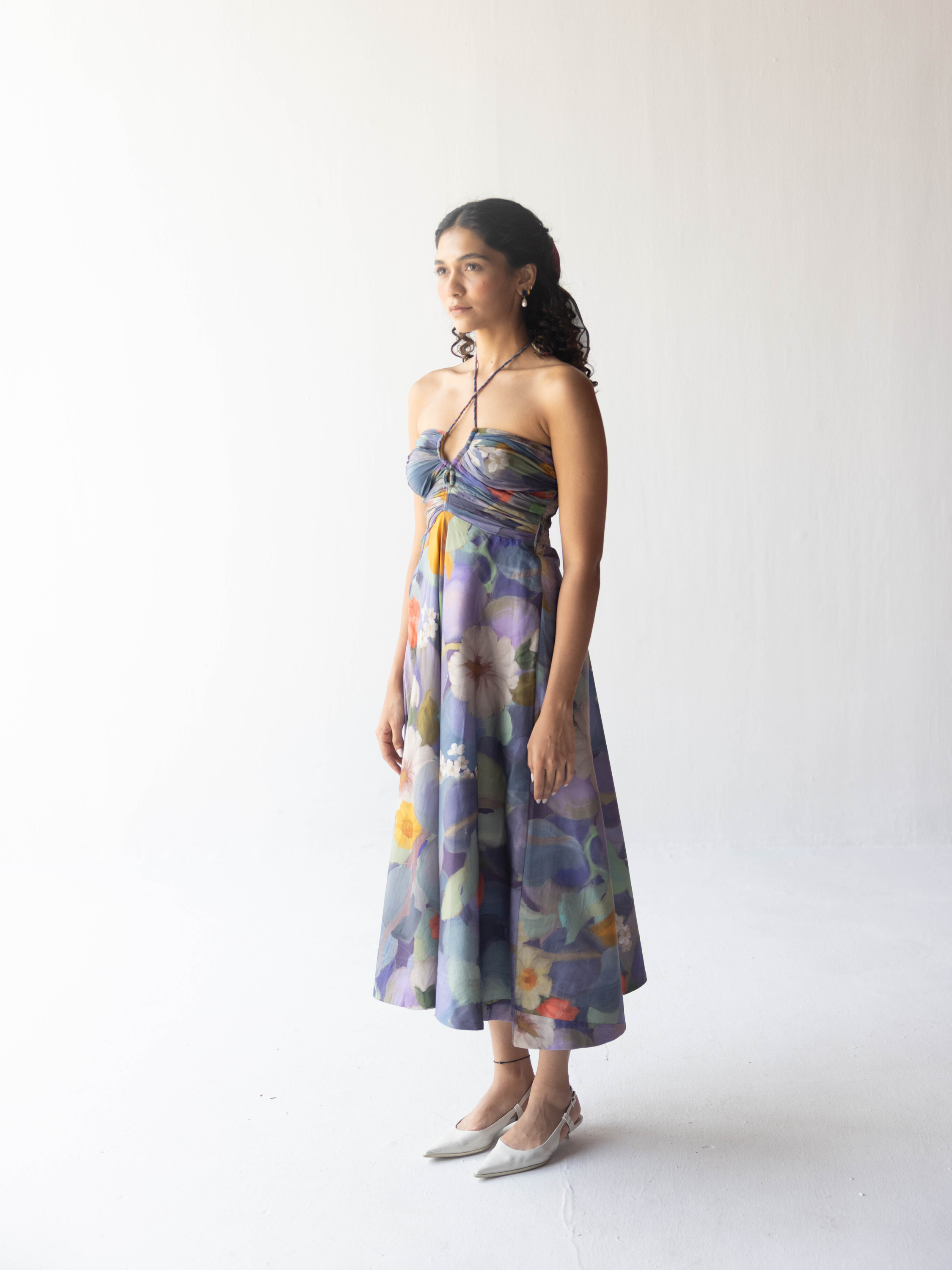 BLUEBERRY GROVE DRESS